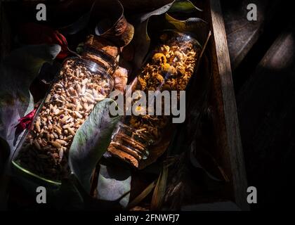Deux bouteilles en verre avec lavande séchée et camomille dans un boîte en bois remplie de feuilles Banque D'Images