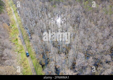 Vue aérienne d'une voiture de sport traversant une route de terre entourée d'une forêt humide. Arbres sans feuilles Banque D'Images