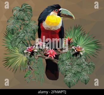 Illustration polygonale Toucan oiseau et Amazonie plantes plus avant. Illustration de Vecteur