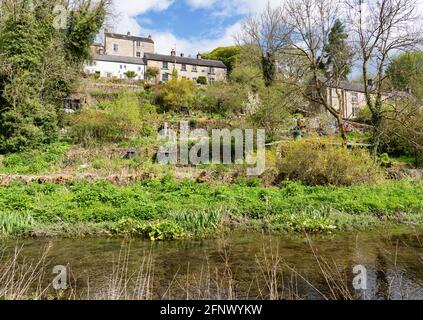 Cottages et jardins donnant sur la rivière Bradford à Youlgreave in Le Derbyshire Peak District Royaume-Uni Banque D'Images