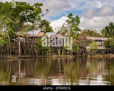 Amazone, Pérou - Mai 2016: Centre de secours pour les animaux amazoniens sur la rive du fleuve Salomon, bassin de l'Amazone. Aussi l'endroit où le film était m Banque D'Images