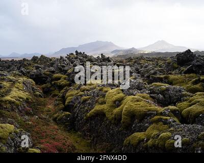 Paysage volcanique, Westfjords , Islande Banque D'Images