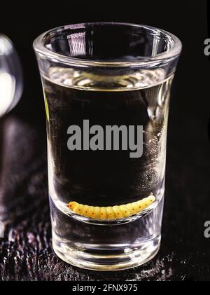 Plusieurs verres avec mezcal (ou mescal) est communément appelé 'tequila avec larva', une boisson mexicaine exotique, originaire de l'état d'Oaxaca Banque D'Images