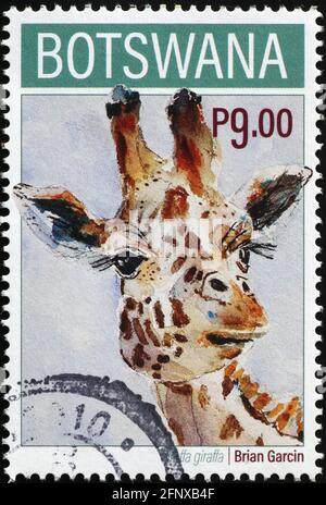 Girafe gros plan sur le timbre-poste du Botswana Banque D'Images