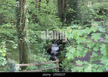 Promenez-vous dans la nature stupéfait de North Devon Banque D'Images