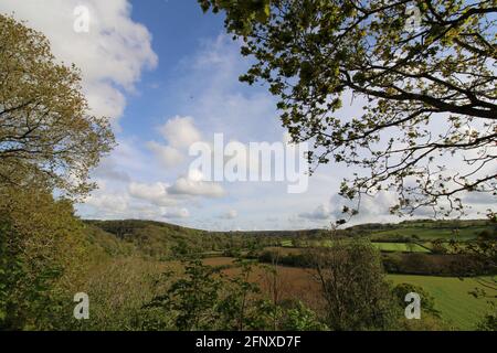 Promenez-vous dans la nature stupéfait de North Devon Banque D'Images