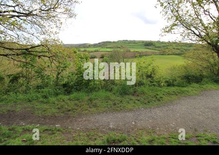 Promenez-vous dans la nature stupéfait de North Devon Banque D'Images