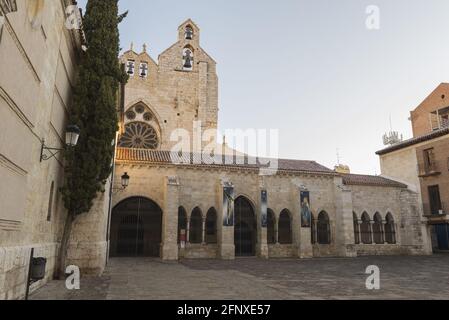 Cour d'Iglesia de San Francisco sous la lumière du soleil dedans Espagne Banque D'Images