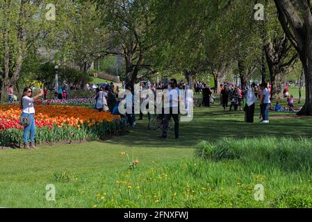 Les foules de la COVID qui apprécient le lit de tulipe no 10 au Festival canadien des tulipes 2021 à Ottawa, Ontario, Canada. Banque D'Images