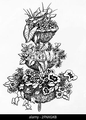 Dessin d'un semoir à trois niveaux avec sphagnum mousses et plantes à fleurs Banque D'Images