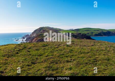 Vue sur la côte de l'océan Pacifique, avec de l'herbe verte d'hiver couvrant les falaises et les falaises de point Reyes Headlands, par une journée ensoleillée à point Reyes National se Banque D'Images