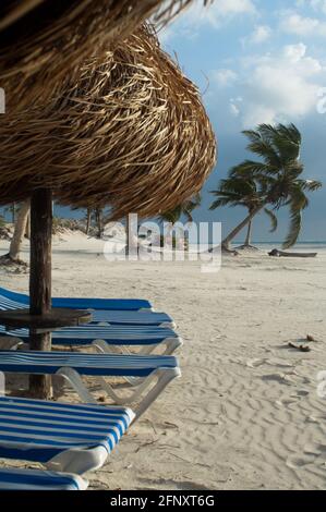 Palapas et chaises longues dans la plage de Xpu-Ha, Caribean mexicain Banque D'Images