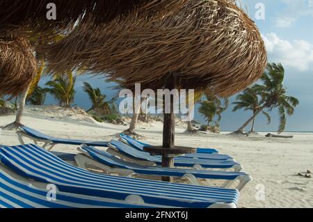 Palapas et chaises longues dans la plage de Xpu-Ha, Caribean mexicain Banque D'Images