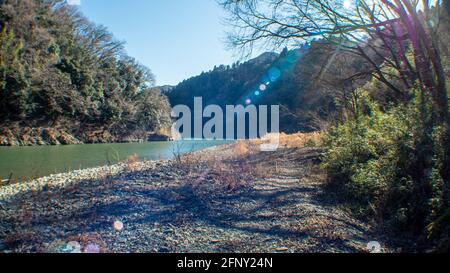 Plants de sususuki en forme de blé par beau temps près d'une rivière Banque D'Images