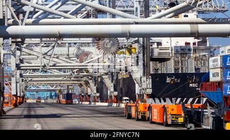 Véhicules automatisés qui déplacent des conteneurs d'expédition vers et depuis des navires dans le port de Rotterdam (pays-Bas), le 8 septembre 2012. Banque D'Images