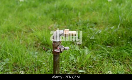 Tuyau d'eau pour flexible dans l'herbe. Banque D'Images