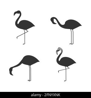 Ensemble d'icônes Flamingo. Silhouette noire flamants dans différentes poses. Illustration vectorielle isolée sur blanc Illustration de Vecteur