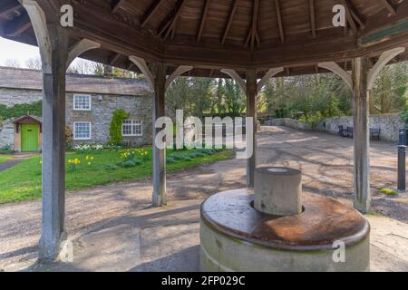 Vue sur les jonquilles et le cottage depuis le kiosque à Ashford dans l'eau, Derbyshire, Peak District National Park, Angleterre, Royaume-Uni, Europe Banque D'Images