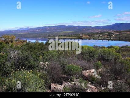 Barrage de Clanwilliam depuis la réserve naturelle de Ramskop Banque D'Images