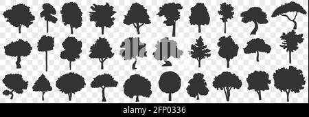 Ensemble de langoules d'arbres. Collection de silhouettes noires dessinées à la main de divers arbres en fleurs nature en rangées isolées sur fond transparent Illustration de Vecteur