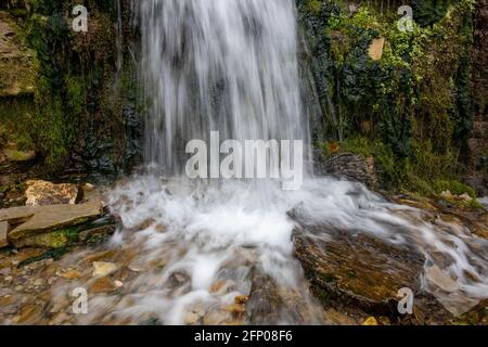 Ruisseau de forêt froide millénaire, rapides de rivière à écoulement rapide, exposition longue Banque D'Images