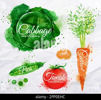 Légumes mettre des taches et des taches d'aquarelle avec un spray de chou, de carotte, de tomate, de pois Illustration de Vecteur