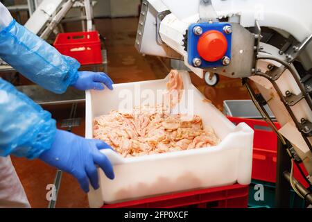 Chaîne de production dans l'usine alimentaire stock photo.les travailleurs de l'industrie de Meet traitent la viande organisation d'expédition de chargement à l'usine de viande. Banque D'Images