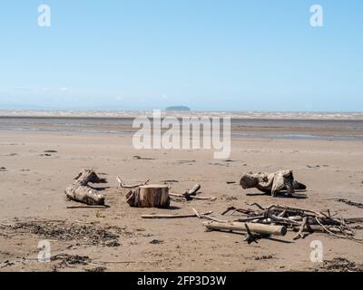 Délaissèrent des souches et des rondins à marée basse sur la plage de Sand Bay, près de Weston-super-Mare, dans le nord du Somerset Banque D'Images