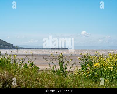 Le vieux quai de Birnbeck, près de Weston-super-Mare, vu des dunes de Sand Bay dans le nord du Somerset Banque D'Images