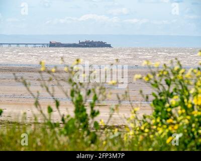 Le vieux quai de Birnbeck, près de Weston-super-Mare, vu des dunes de Sand Bay dans le nord du Somerset Banque D'Images