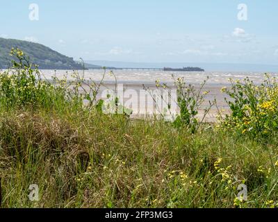 Le vieux quai de Birnbeck, près de Weston-super-Mare, vu des dunes de Sand Bay dans le nord du Somerset Banque D'Images