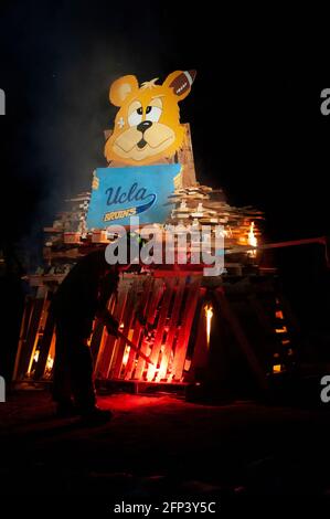 L'ours Bruin est brûlé dans le cadre de la conquête de l'USC, une tradition à l'Université de Californie du Sud qui signifie la rivalité avec l'UCLA. Banque D'Images