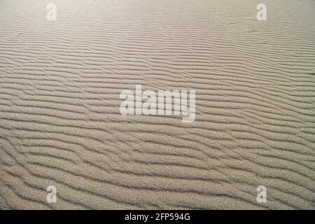 ondulations dans le sable du désert Banque D'Images