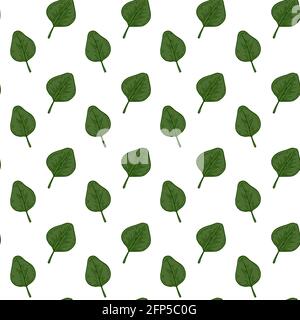 Motif sans couture dessiné à la main avec des feuilles d'eucalyptus vertes isolées sur fond blanc. Illustration vectorielle dans le style d'esquisse Illustration de Vecteur