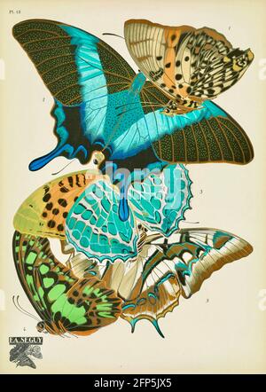 Emile Allain Séguy œuvre décorative de papillons des années 1920. Banque D'Images
