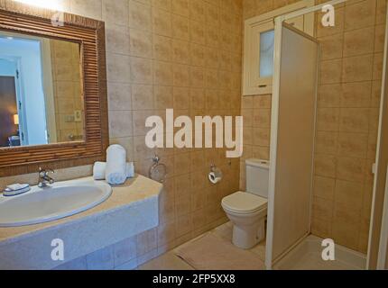 Décoration intérieure d'une salle de bain luxueuse avec personnes à mobilité réduite douche d'accès, salle d'eau et lavabo Banque D'Images