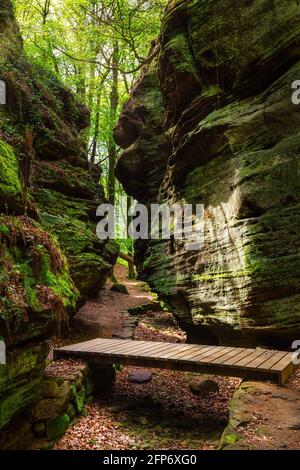 Magnifique sentier de randonnée mullerthal à Berdorf, Luxembourg, Europe Banque D'Images