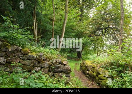 Le belvédère à Dolebury Warren dans le paysage national de Mendip Hills, Somerset, Angleterre. Banque D'Images