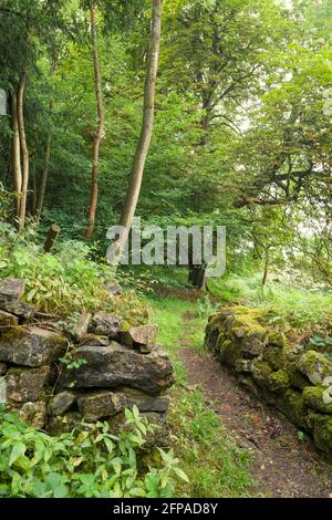 Le belvédère à Dolebury Warren dans le paysage national de Mendip Hills, Somerset, Angleterre. Banque D'Images