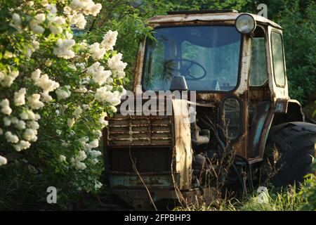 Vieux tracteur abandonné dans un jardin de printemps au coucher du soleil. Banque D'Images