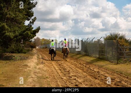 Woodbridge, Suffolk, Royaume-Uni Mai 01 2021: Un cheval de fond course de temps Banque D'Images