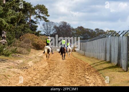 Woodbridge, Suffolk, Royaume-Uni Mai 01 2021: Un cheval de fond course de temps Banque D'Images