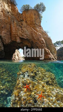 Arche naturelle sur la côte rocheuse avec étoiles de mer sous l'eau, vue partagée sur et sous l'eau, mer Méditerranée, Espagne, Costa Brava, Catalogne, Palamos Banque D'Images