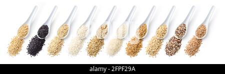 Grains en cuillères en céramique. De gauche à droite : avoine, riz noir, riz brun, riz carnaroli, sarrasin, riz basmati, blé khorasan, orge, quinoa, épeautre isol Banque D'Images