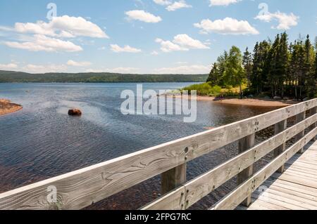 Parc national Terra Nova, Terre-Neuve, vu depuis la passerelle au-dessus du ruisseau Saltons. Banque D'Images