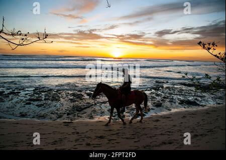 Cavalier à cheval sur la plage au Costa Rica Banque D'Images