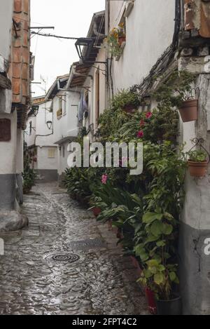 Plan vertical d'une allée de vieux bâtiments décorés de plantes à Hervas, en Espagne Banque D'Images