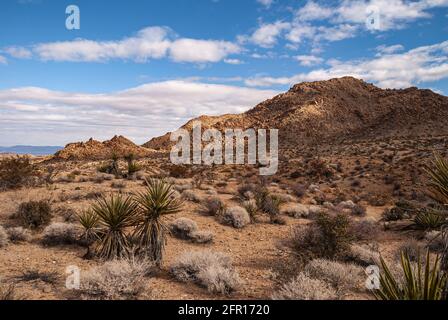 Joshua Tree National Park, CA, Etats-Unis - 30 décembre 2012 : le soleil tombe sur la montagne rocheuse brune dans un paysage sec avec des cactus sous un paysage bleu nuageux. Banque D'Images