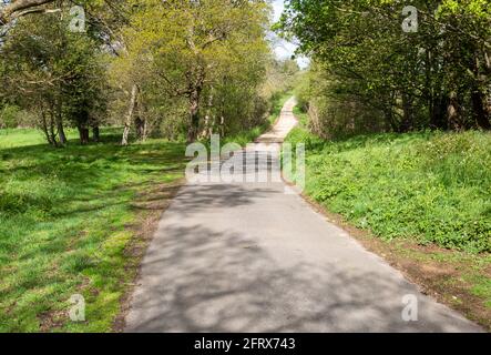 Chemin étroit tortueux de la campagne de tarmac passant par les arbres, Sutton, Suffolk, Angleterre, Royaume-Uni Banque D'Images