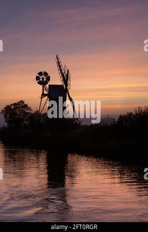 Moulin à vent TURF Fen, How Hill, murmuration étoilée à Sunset, Norfolk, East Anglia, Royaume-Uni Banque D'Images